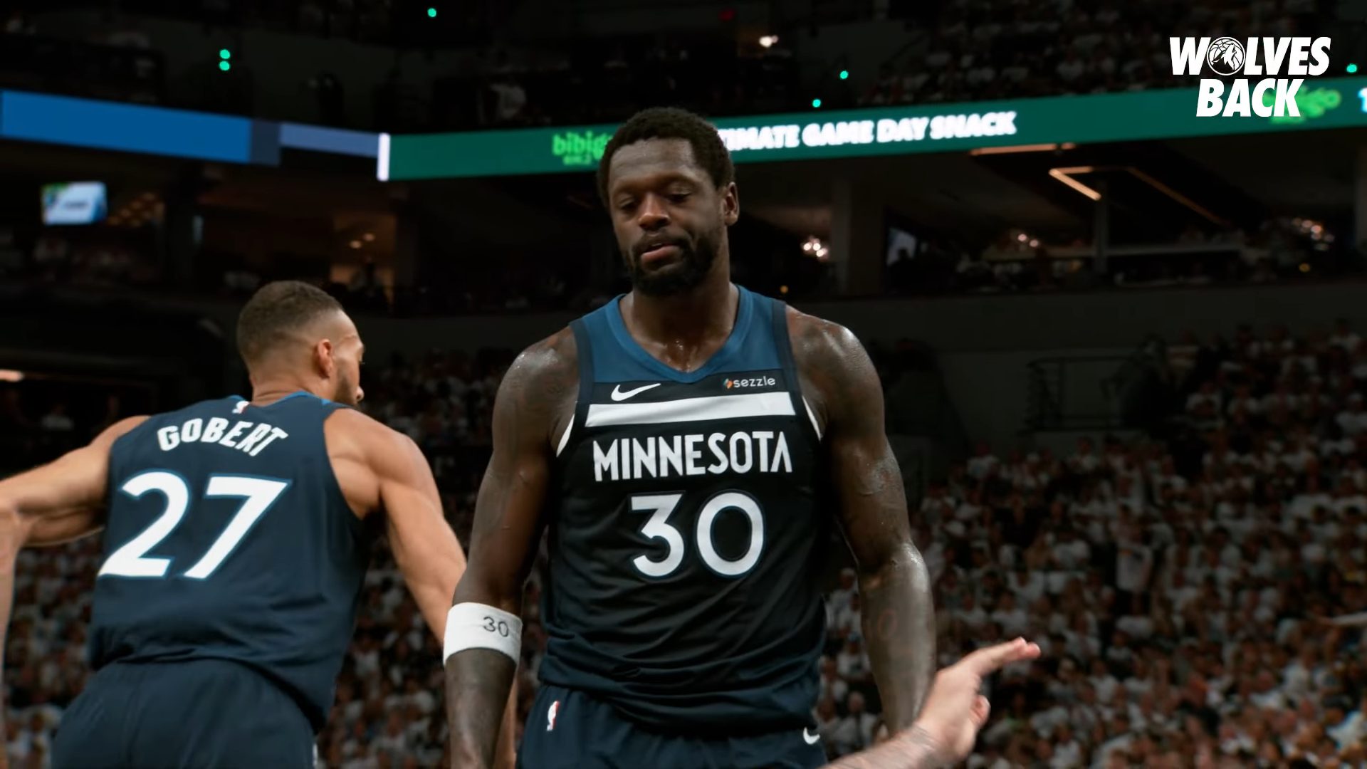 Minnesota Timberwolves