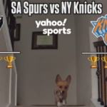 Encart Home Page Guide des Playoffs